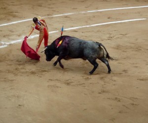 Cali Fair Bullfights Source foto gastan sk